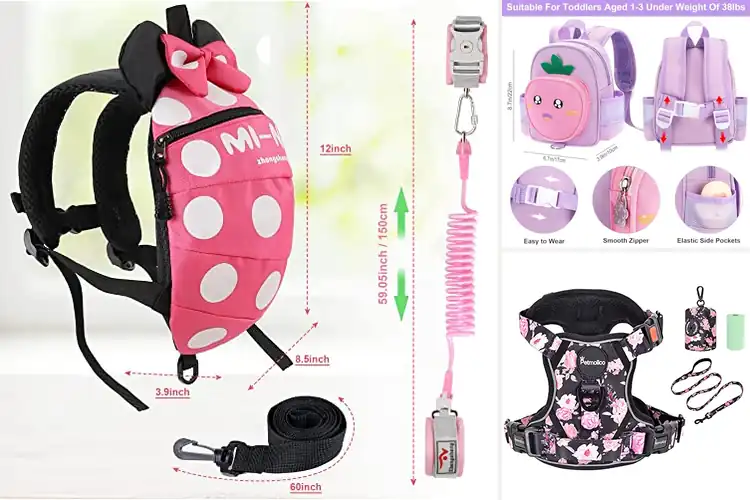 Detailed view of Best 4 In 1 Use Harness Leash Bag