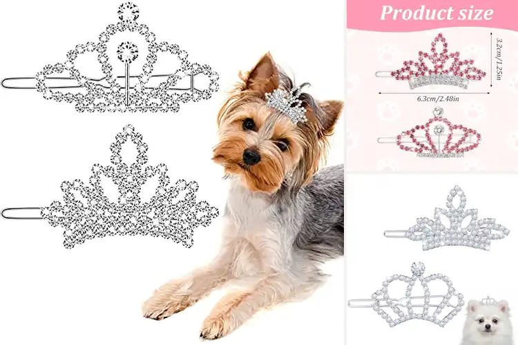 Detailed view of Best Alloy Rhinestone Dog Hair Clips