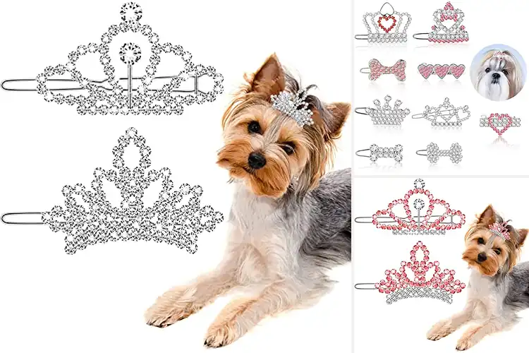 Detailed view of Best Alloy Rhinestone Pet Hair Clips