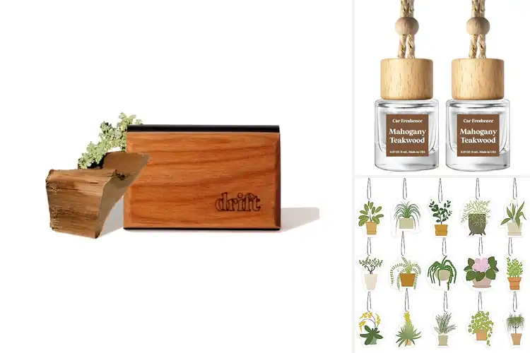 Detailed view of Best Car Freshener Gifts: 10 Picks for a Fresh Ride