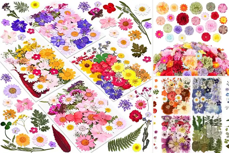 Detailed view of Best Crafting Flowers