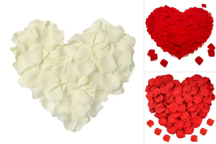 Detailed view of Best Decorative Petals