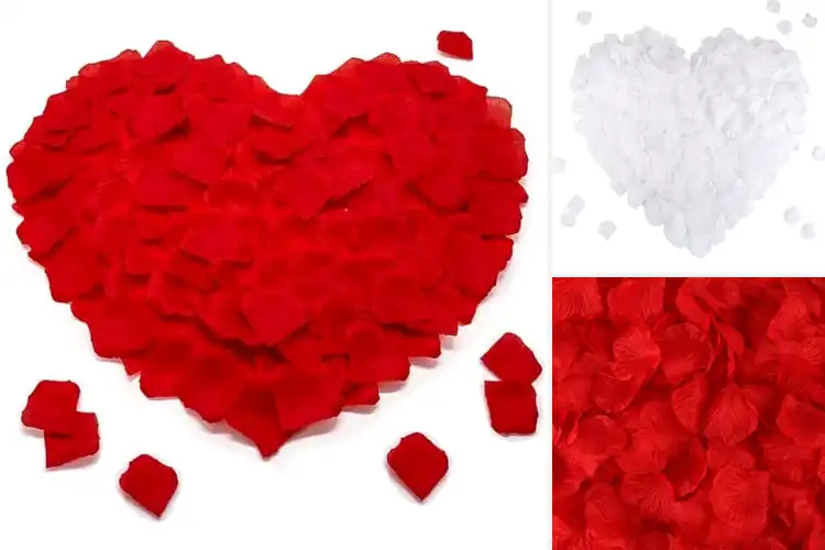 Detailed view of Best Decorative Rose Petals