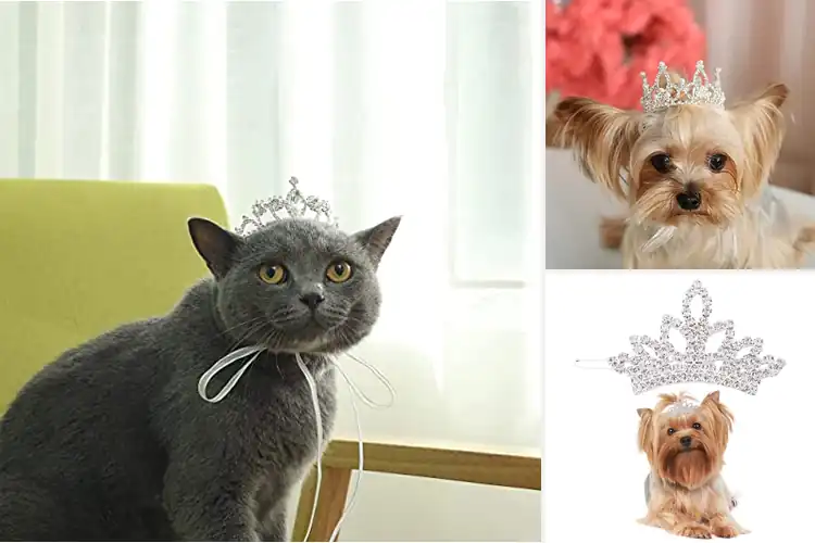 Detailed view of Best Dog Crystal Crowns: 10 Dazzling Options for Royal Pets