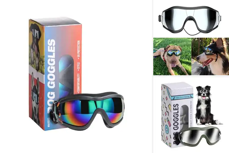 Detailed view of Best Dog Goggles: Protect Your Pup’s Eyes in Style