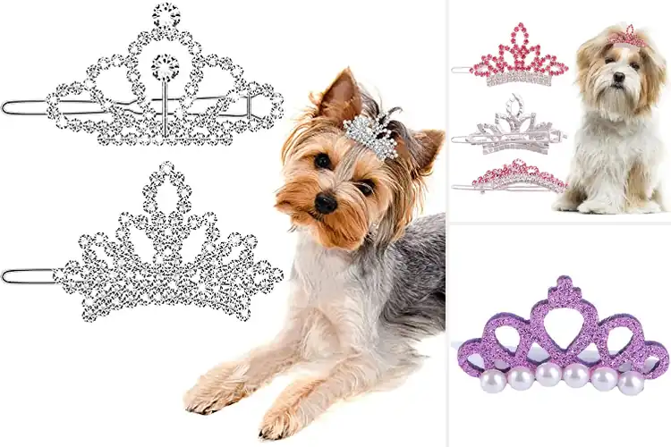 Detailed view of Best Dog Grooming Crowns
