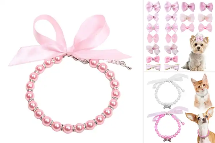 Detailed view of Best Dog Rhinestone Accessories
