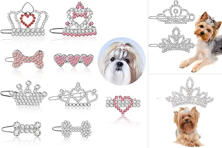 Detailed view of Best Dog Tiara Hair Clips