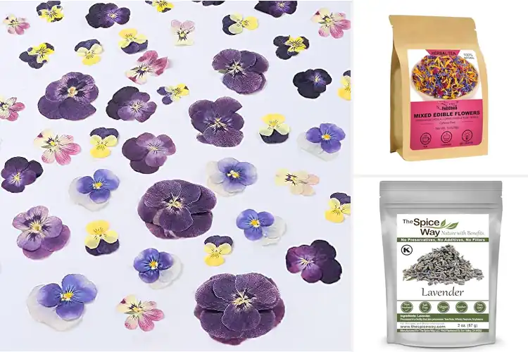 Detailed view of Best Dried Flowers for Baking: 10 Stunning Edible Choices