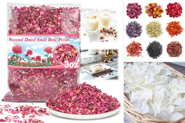 Detailed view of Best Dried Petals for Soft, Natural Creations