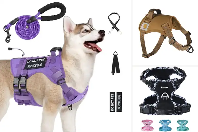 Detailed view of Best Durable Polyester Nylon Harness