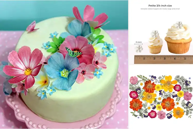 Detailed view of Best Edible Flower Decorations