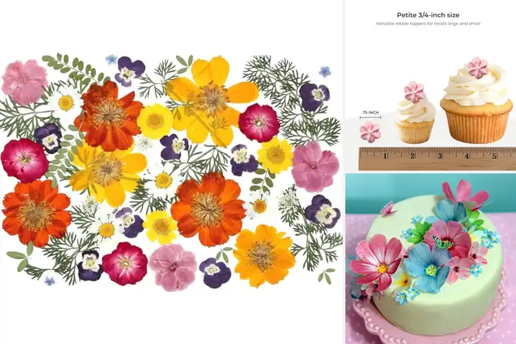 Detailed view of Best Edible Flowers for Cakes