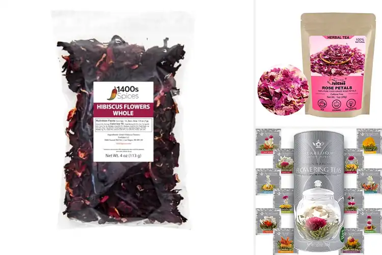 Detailed view of Best Edible Flowers for Tea