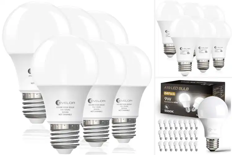 Detailed view of Best Energy Efficient Bulbs for Brighter, Smarter Spaces
