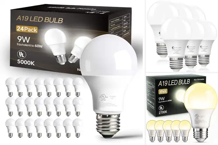 Detailed view of Best Energy Efficient Light Bulbs