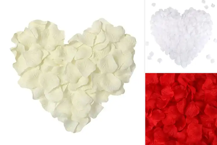 Detailed view of Best Floral Petals