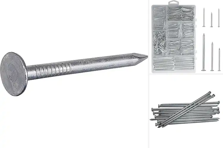 Detailed view of Best Galvanized Nails