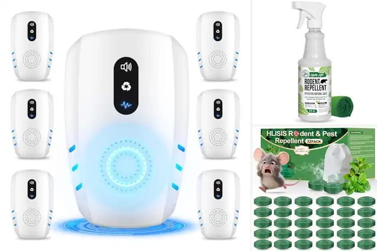 Detailed view of Best Home Rodent Repellents: 10 Safe & Easy Ways