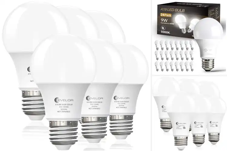 Detailed view of Best Indoor Light Bulbs