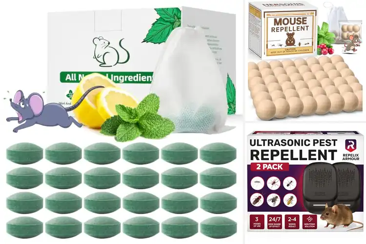 Detailed view of Best Indoor Rodent Repellents