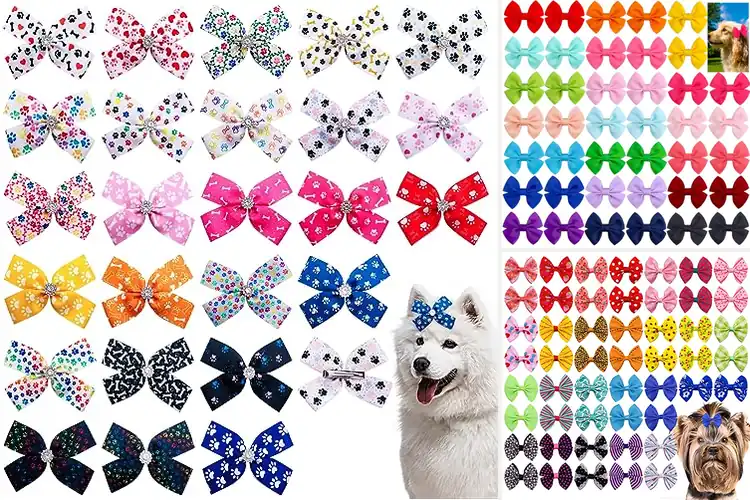Detailed view of Best Large Dog Hair Clips