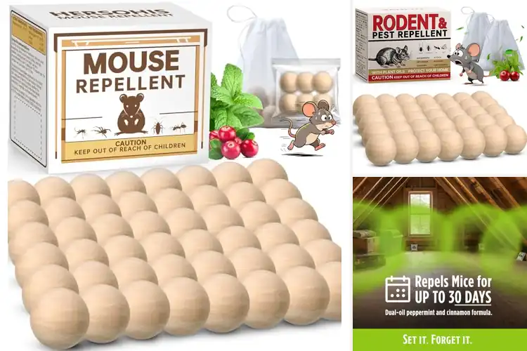 Detailed view of Best Mouse Repellents