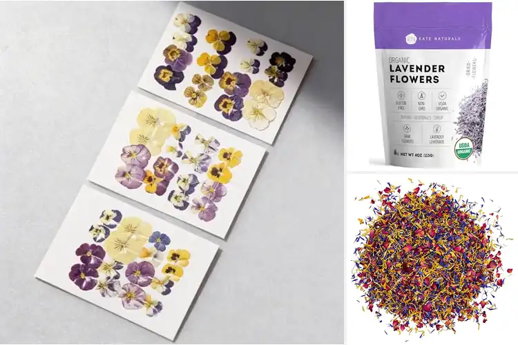 Detailed view of Best Natural Baking Flowers: Top 10 Elegant Edible Blooms