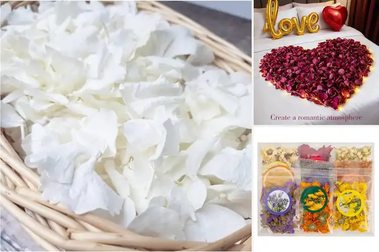 Detailed view of Best Natural Flower Petals