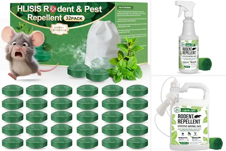 Detailed view of Best Natural Rodent Repellents