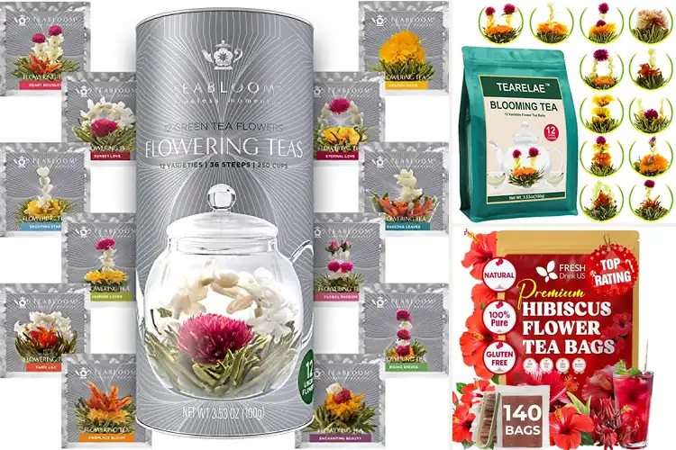 Detailed view of Best Natural Tea Flowers: Top 10 Refreshing Picks for You
