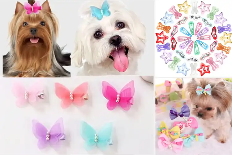 Detailed view of Best NonToxic Pet Hair Clips for Safe & Stylish Grooming