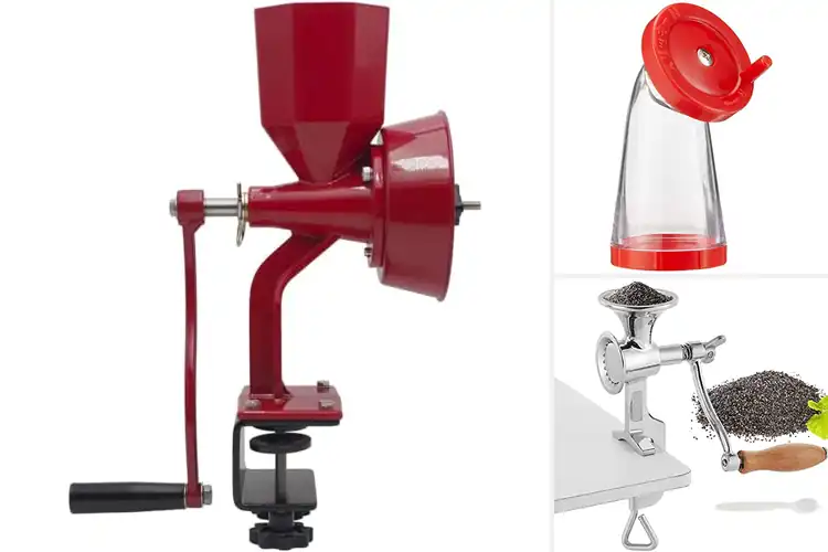 Detailed view of Best Oily Seed Grinders: Unlock Flavor and Nutrition Today