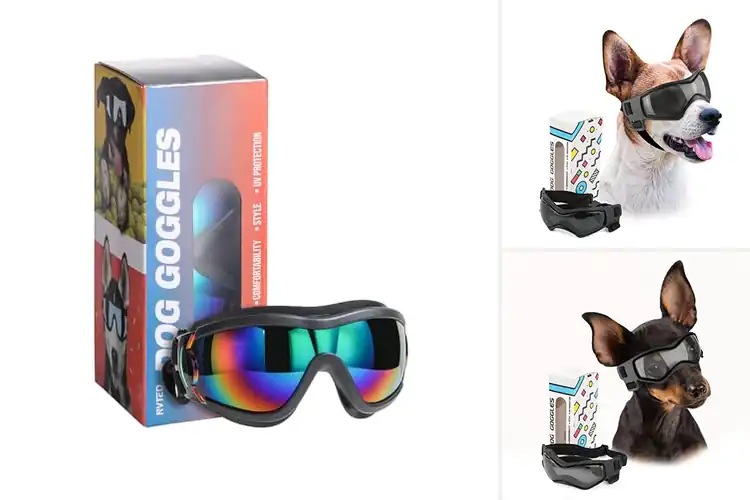Detailed view of Best Outdoor Dog Goggles: Top Picks for Safe Adventures