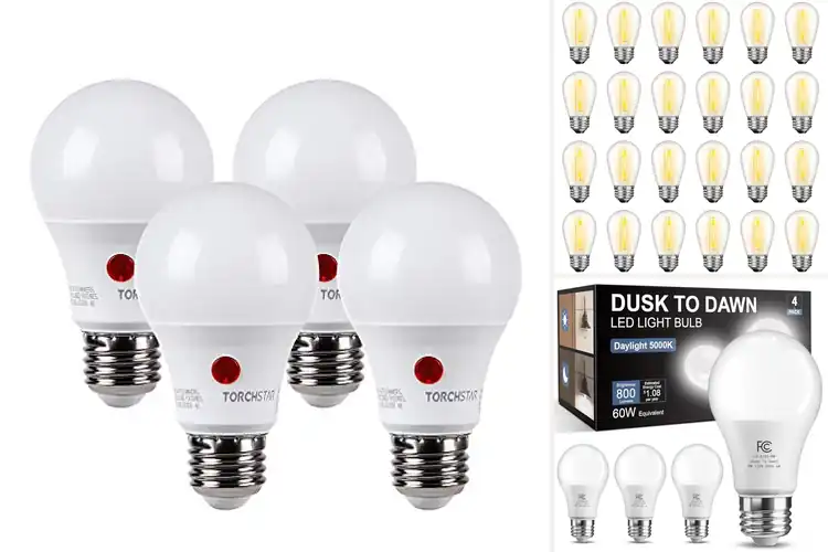 Detailed view of Best Outdoor Light Bulbs