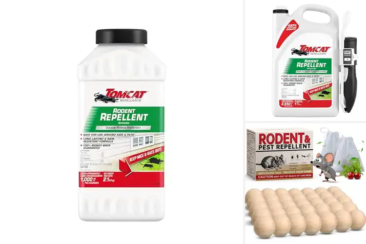 Detailed view of Best Outdoor Rodent Repellents