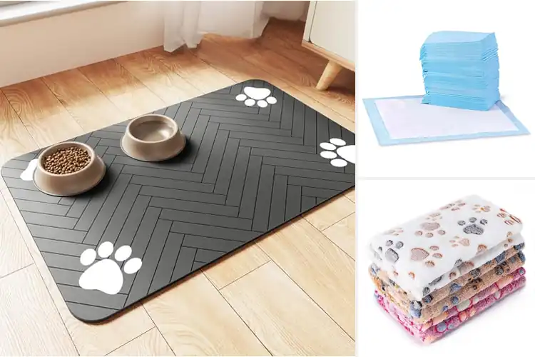 Detailed view of Best Pet Accessories: Top Picks for Happy, Healthy Pets