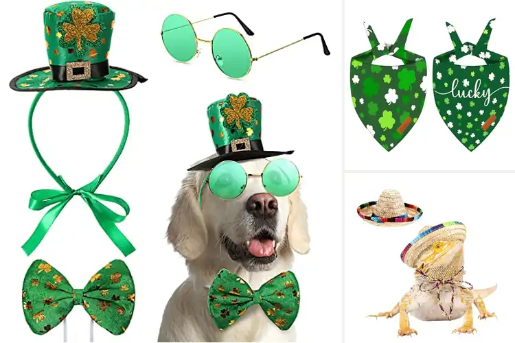Detailed view of Best Pet Costume Accessories: Top 10 Picks for Style & Fun