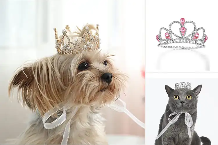 Detailed view of Best Pet Crown Accessories for Royal Charm & Comfort