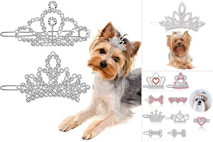 Detailed view of Best Pet Crown Clips: Sparkle Up Your Furry Friend’s Style