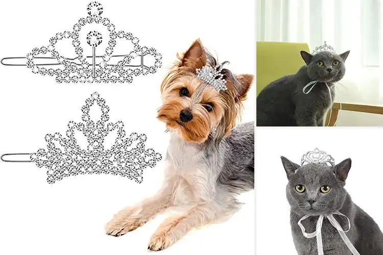 Detailed view of Best Pet Crown Gifts