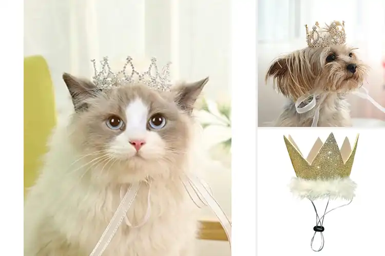 Detailed view of Best Pet Crowns: Glam Up Your Furry Friend’s Look Today