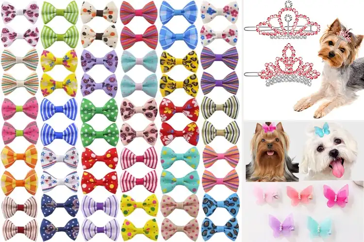Detailed view of Best Pet Gift Hair Accessories