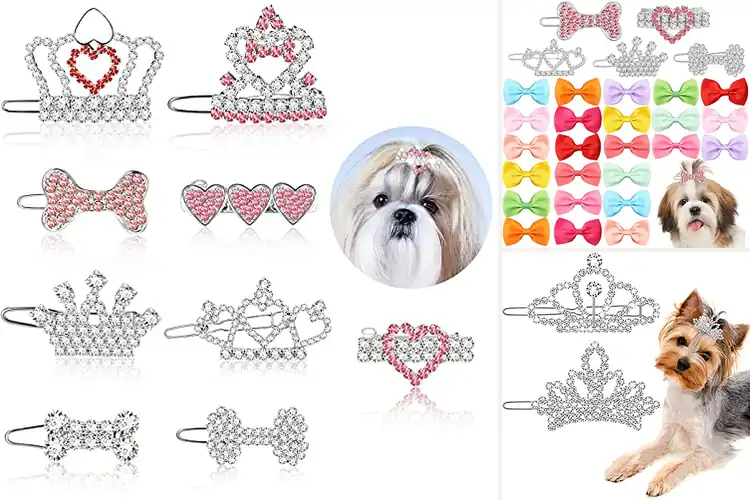 Detailed view of Best Pet Gift Rhinestone Hair Clips