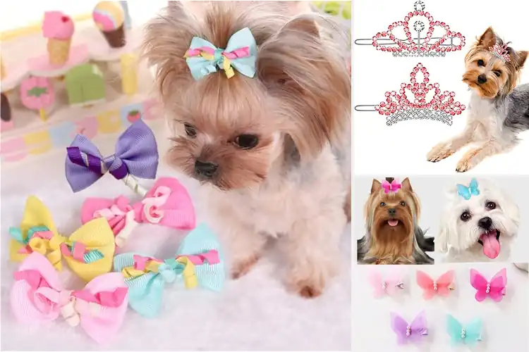 Detailed view of Best Pet Grooming And Cosplay Hair Accessories