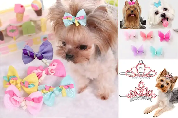 Detailed view of Best Pet Grooming Cosplay Accessories