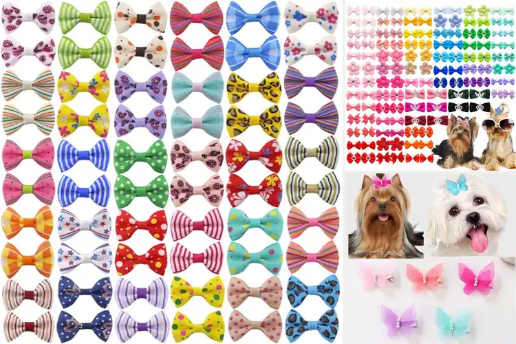 Detailed view of Best Pet Grooming Hair Accessories: 10 Fun & Stylish Picks