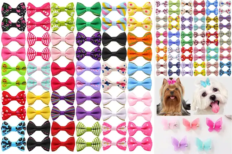 Detailed view of Best Pet Hair Accessories For Parties