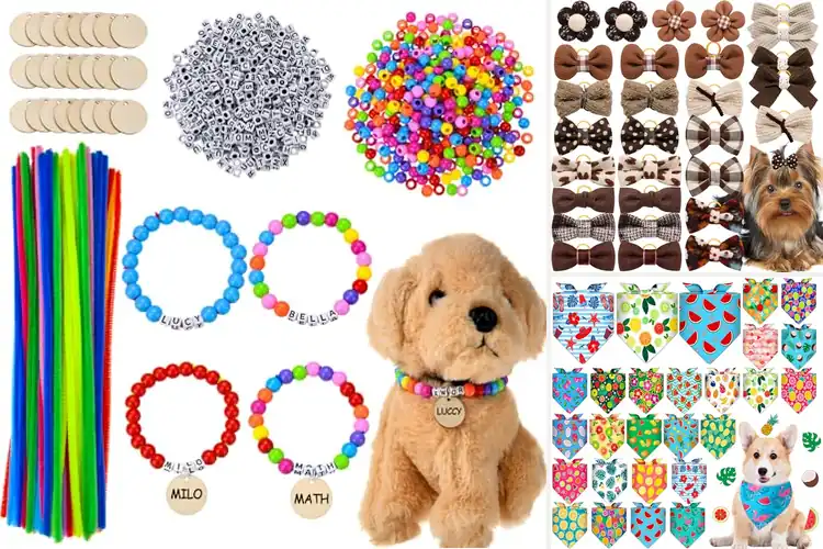 Detailed view of Best Pet Party Accessories