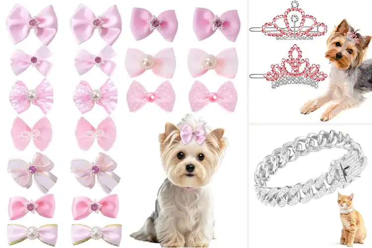 Detailed view of Best Pet Rhinestone Accessories